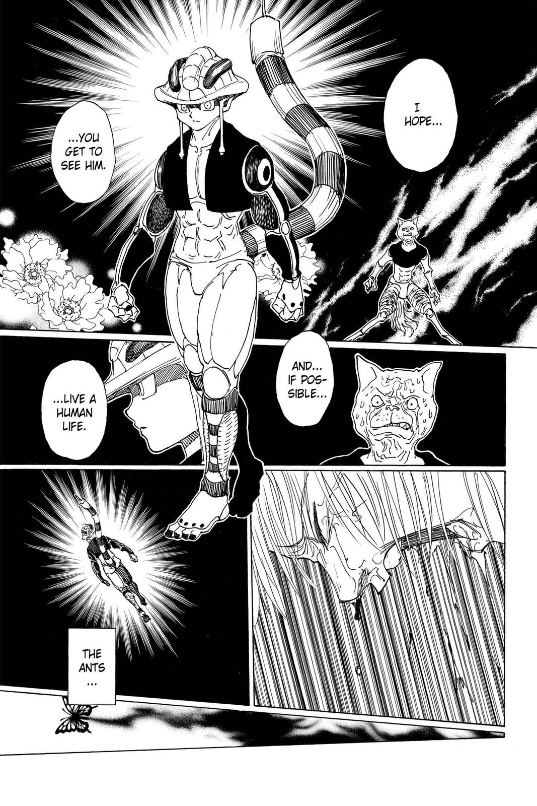 Hunter x Hunter Chapter 313 - Page 14