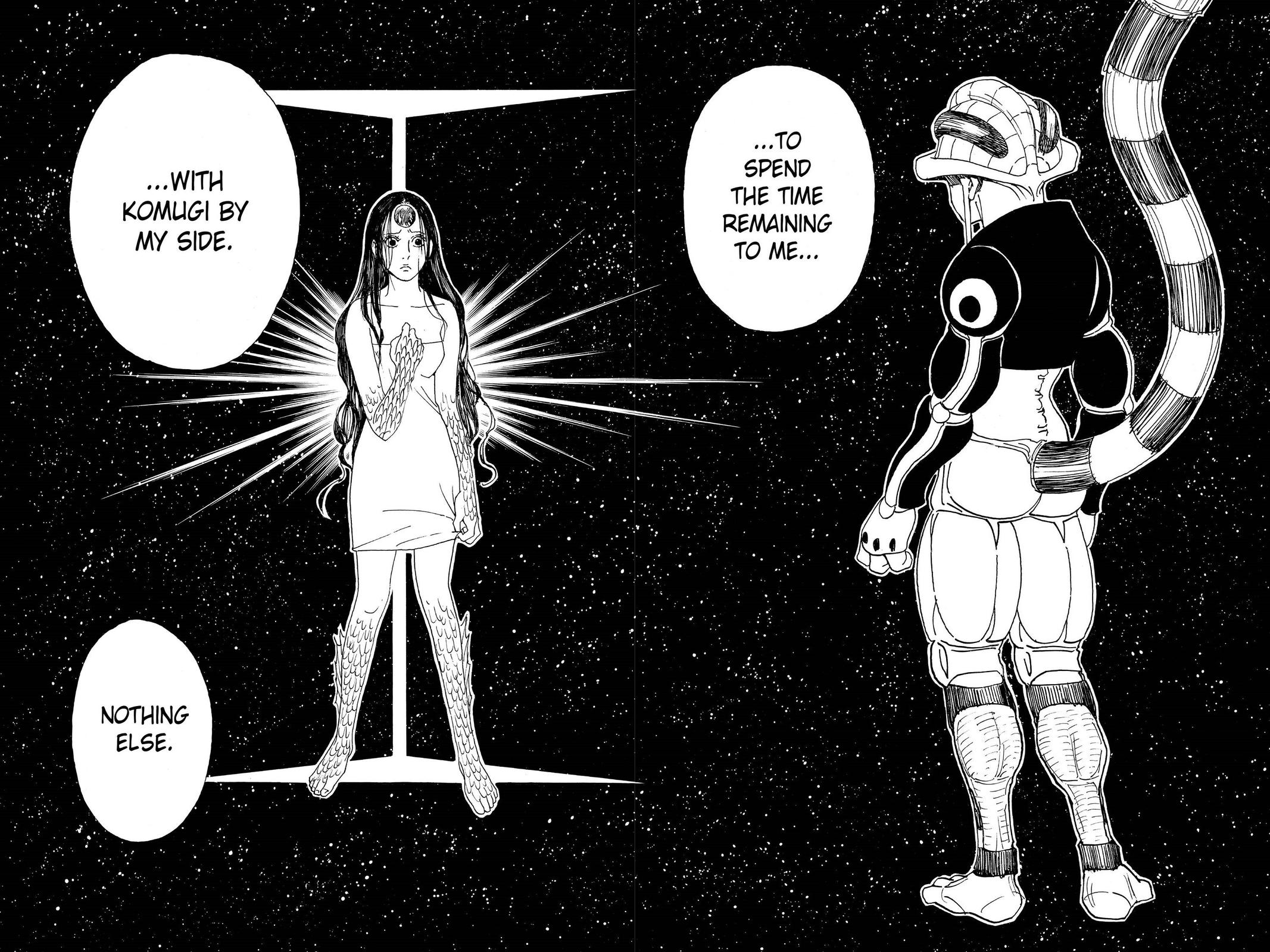 Hunter x Hunter Chapter 314 - Page 8