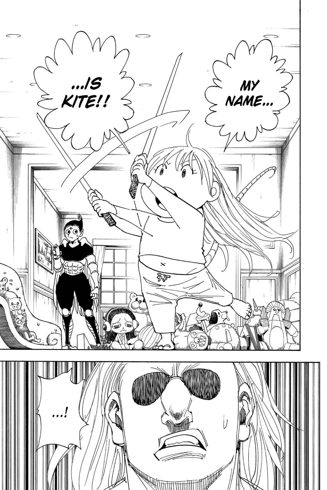Hunter x Hunter Chapter 316 - Page 17