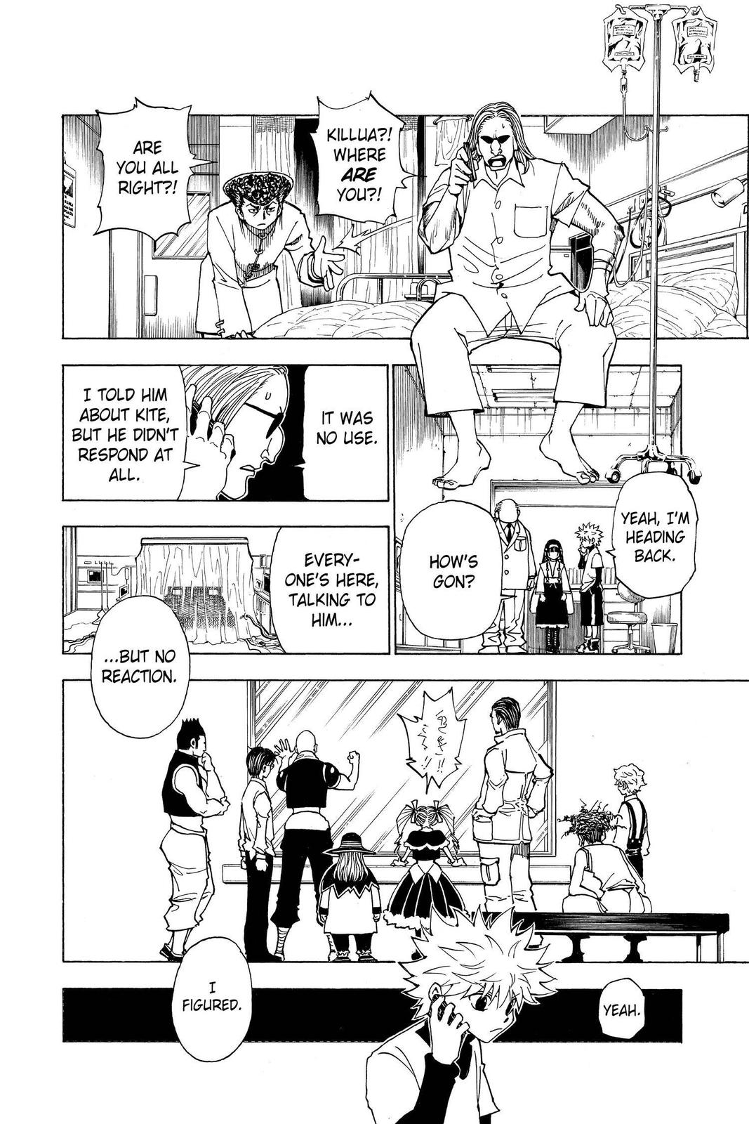 Hunter x Hunter Chapter 324 - Page 10
