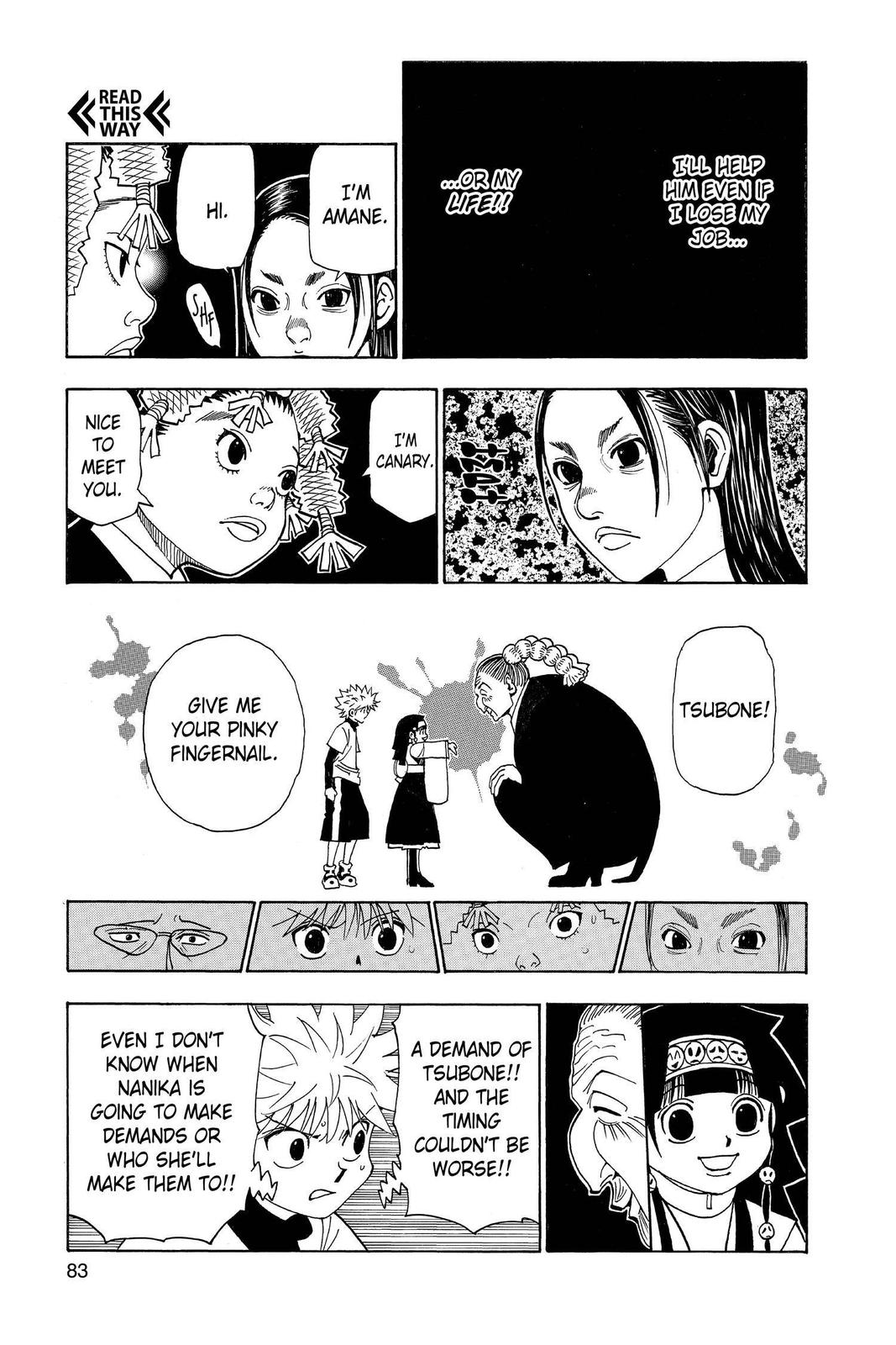 Hunter x Hunter Chapter 324 - Page 17