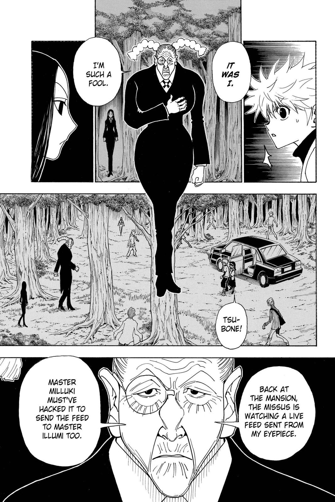 Hunter x Hunter Chapter 330 - Page 4