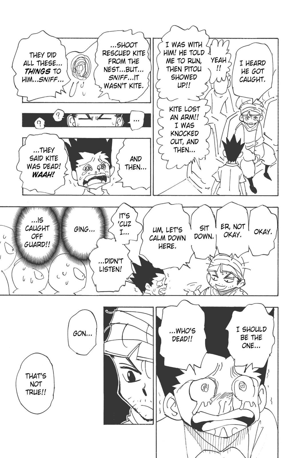Hunter x Hunter Chapter 335 - Page 3