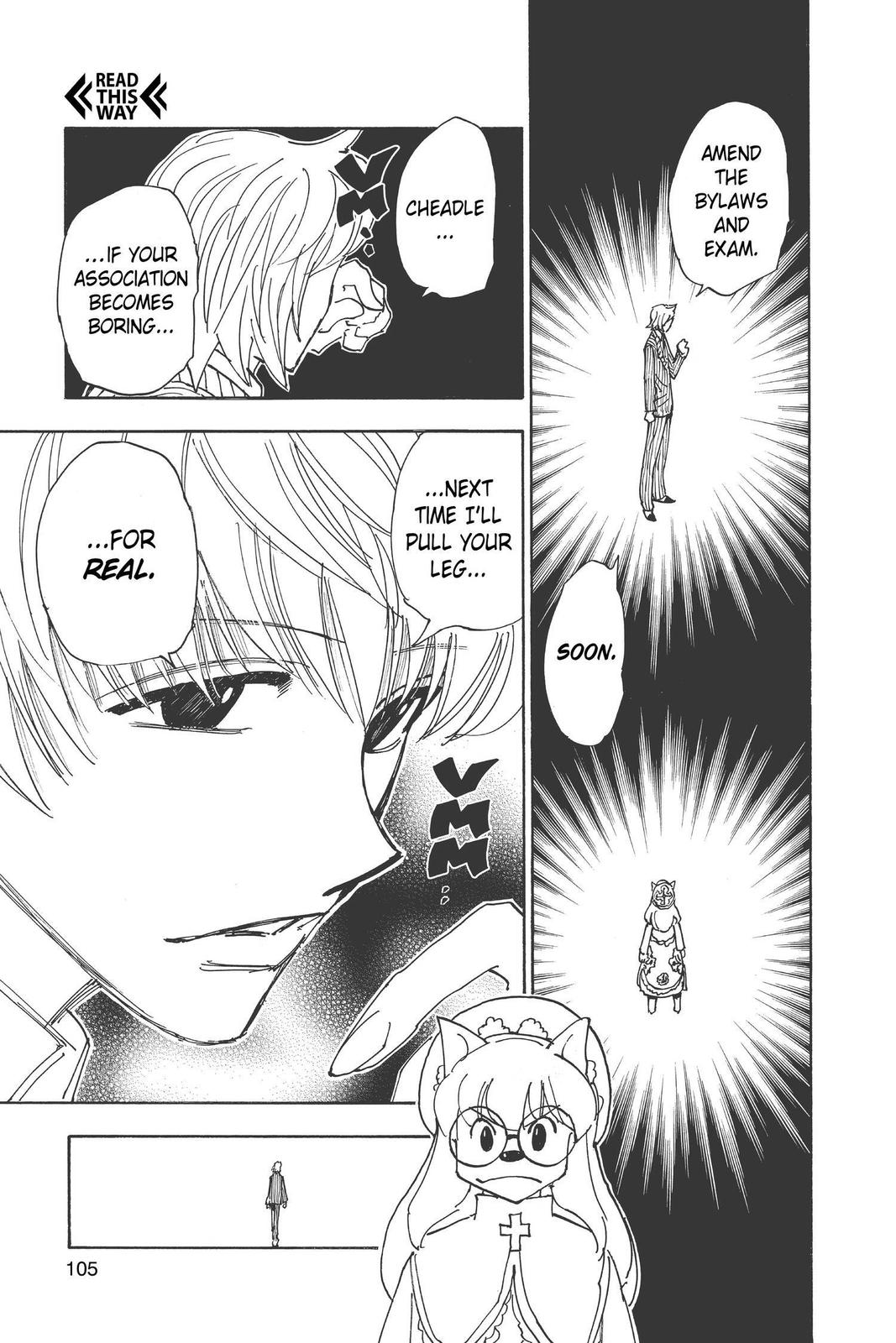 Hunter x Hunter Chapter 335 - Page 17