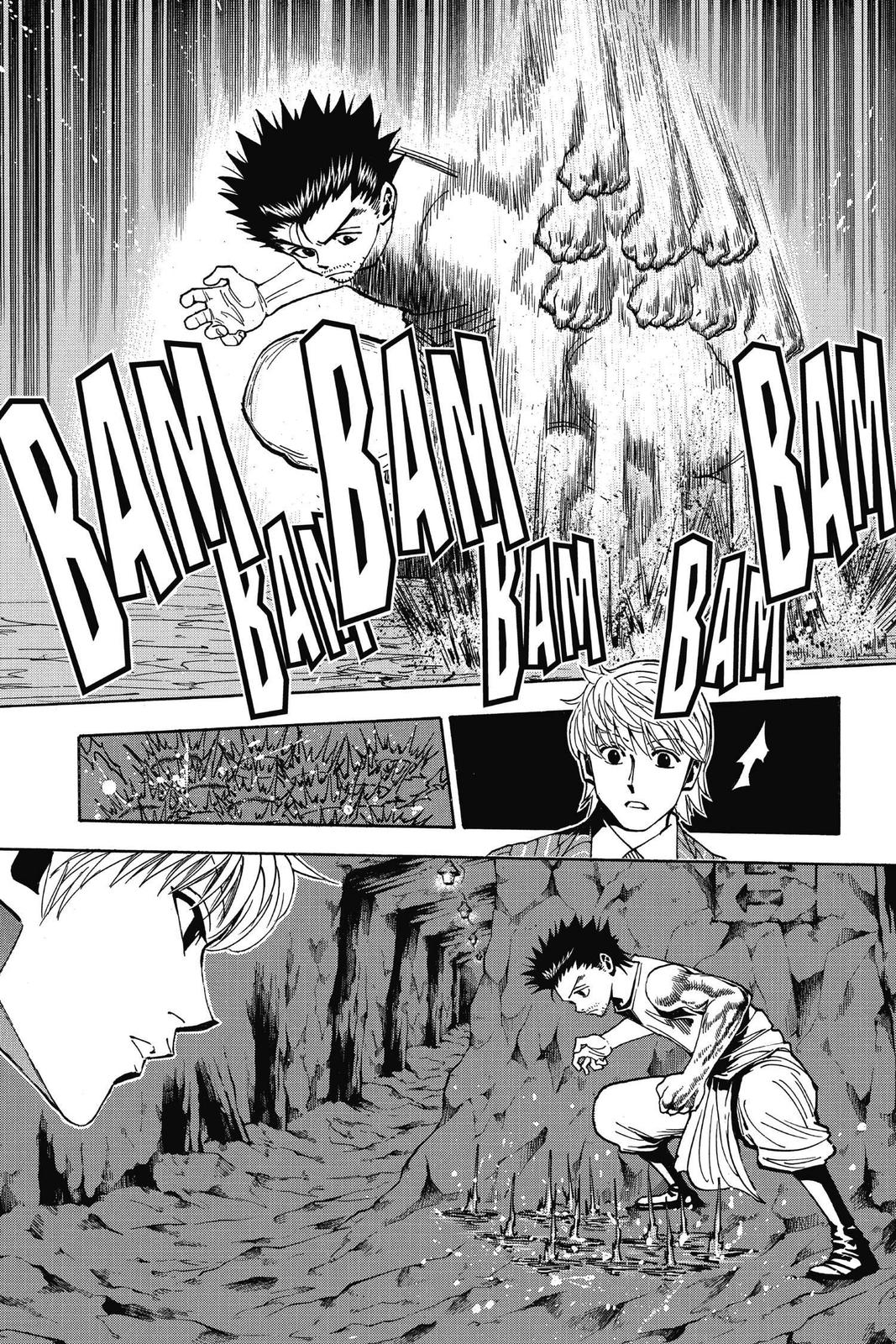 Hunter x Hunter Chapter 347 - Page 5