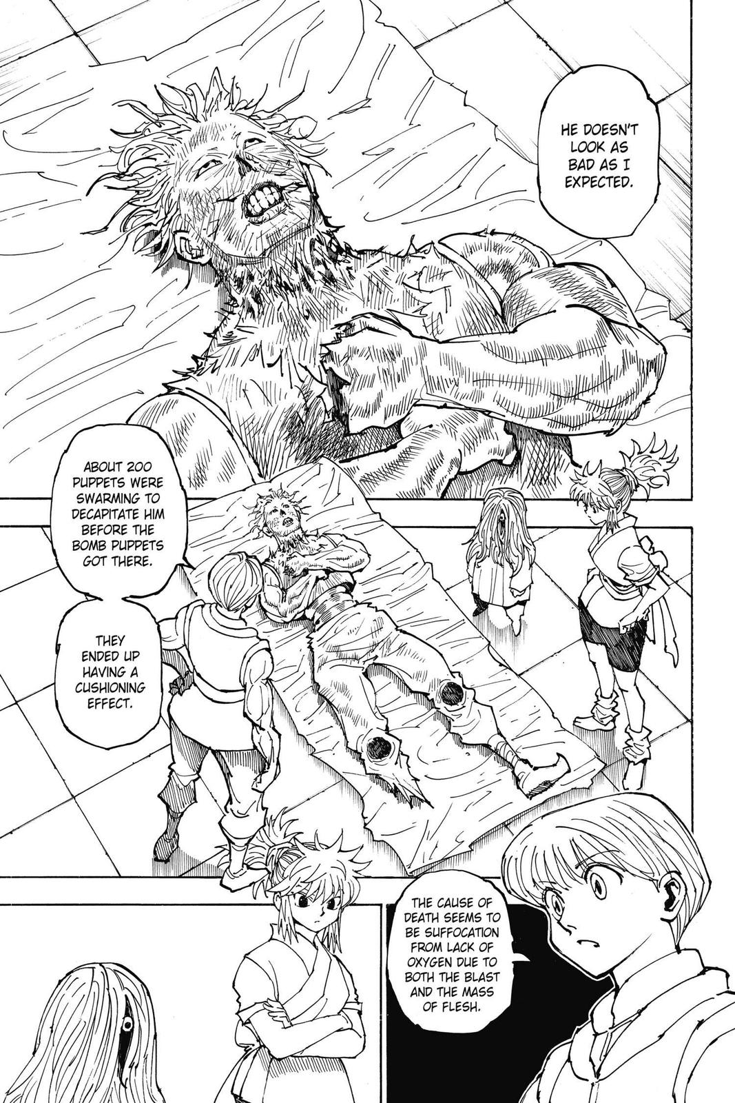 Hunter x Hunter Chapter 357 - Page 3