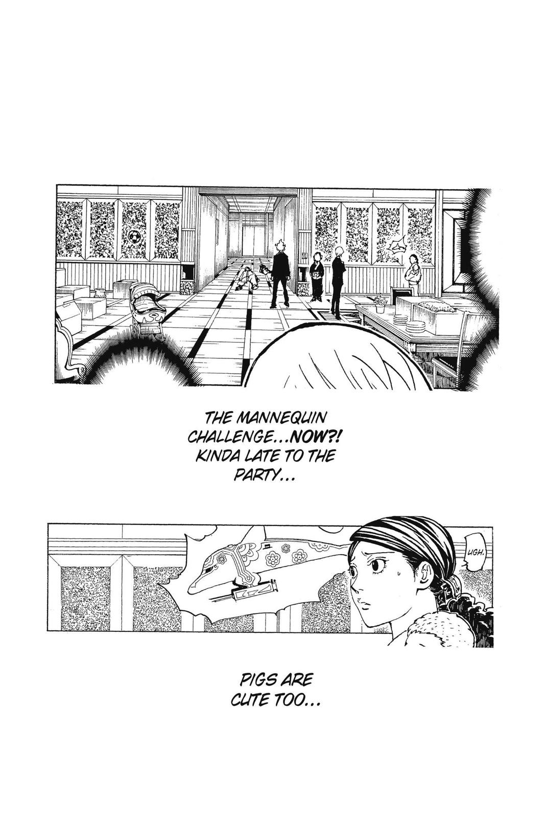 Hunter x Hunter Chapter 367 - Page 20