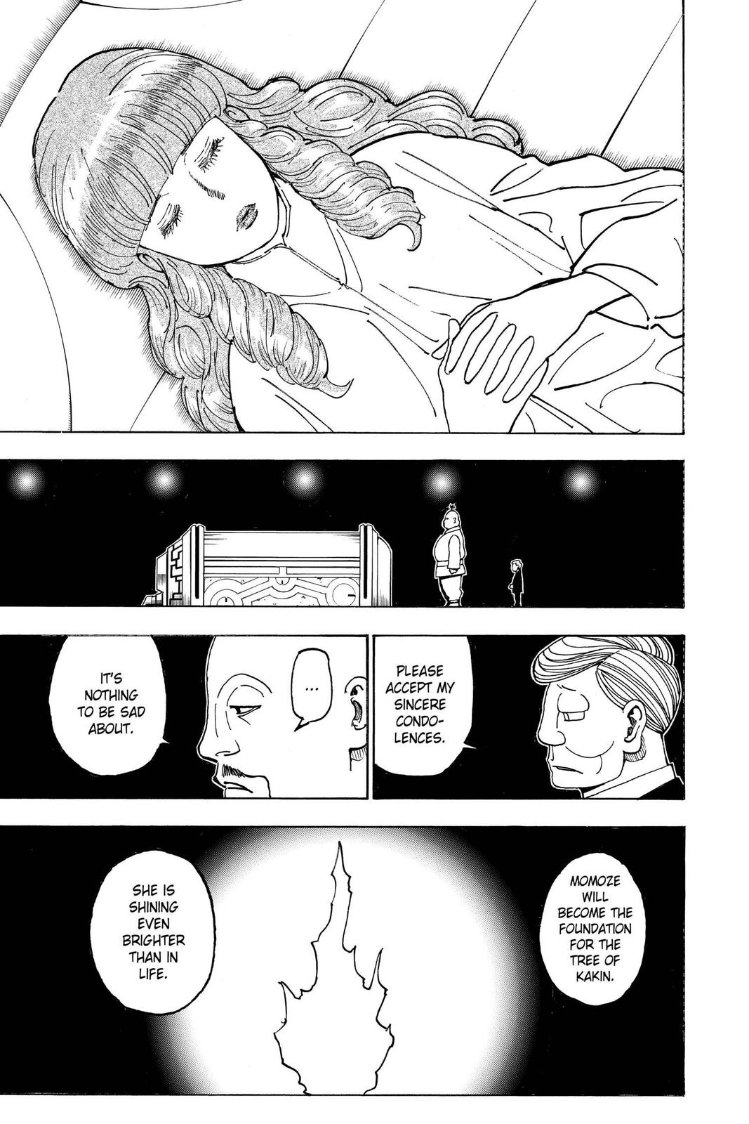 Hunter x Hunter Chapter 371 - Page 25