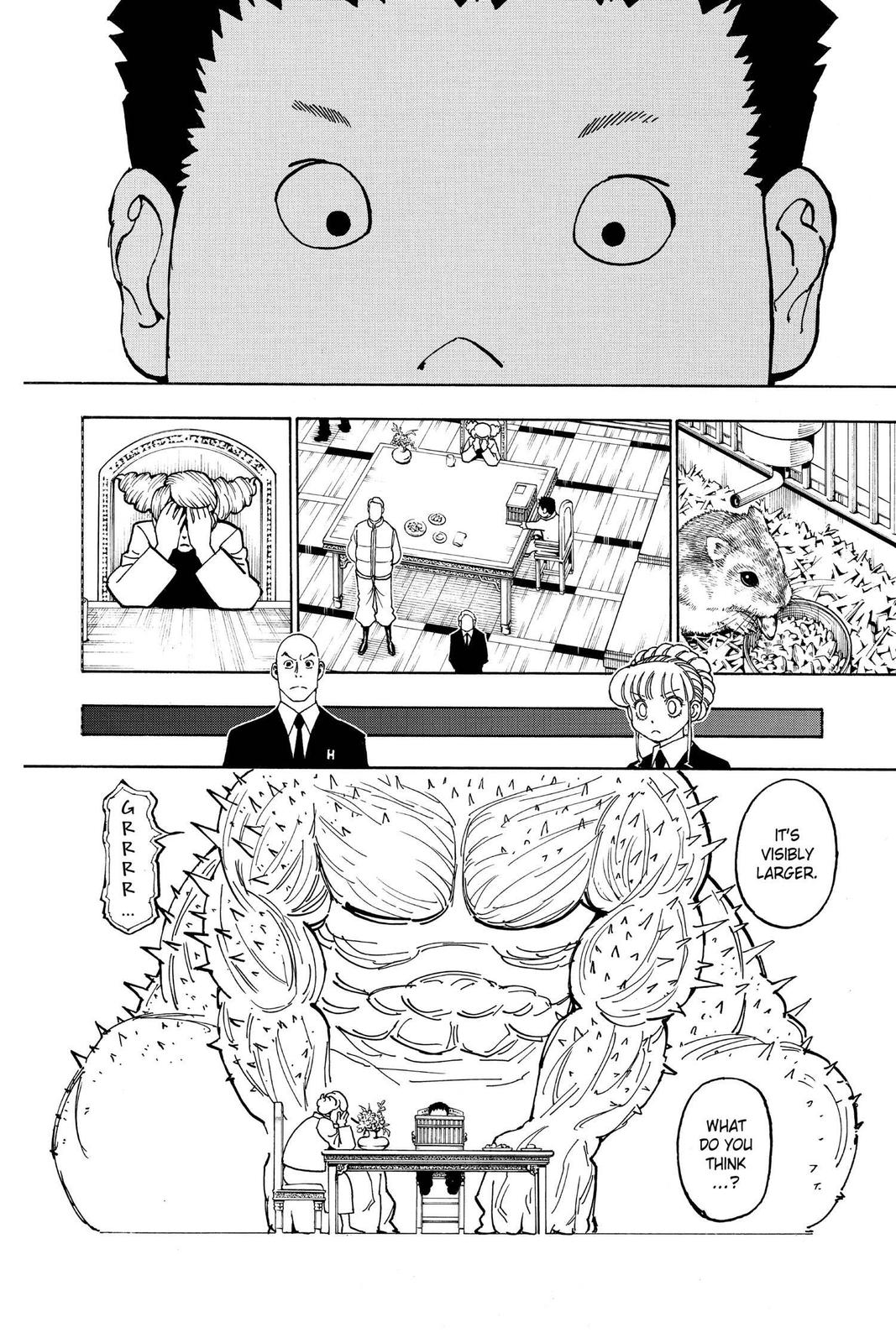 Hunter x Hunter Chapter 372 - Page 4