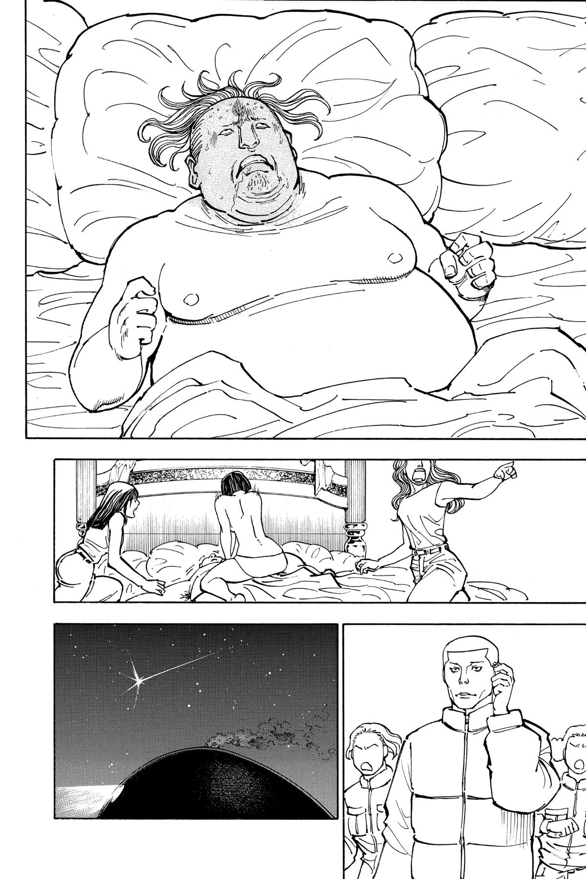 Hunter x Hunter Chapter 382 - Page 17