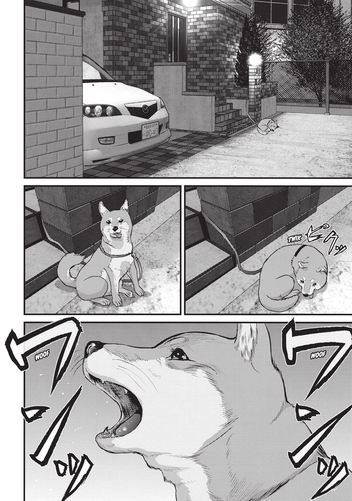 Inuyashiki Chapter 63 - Page 13
