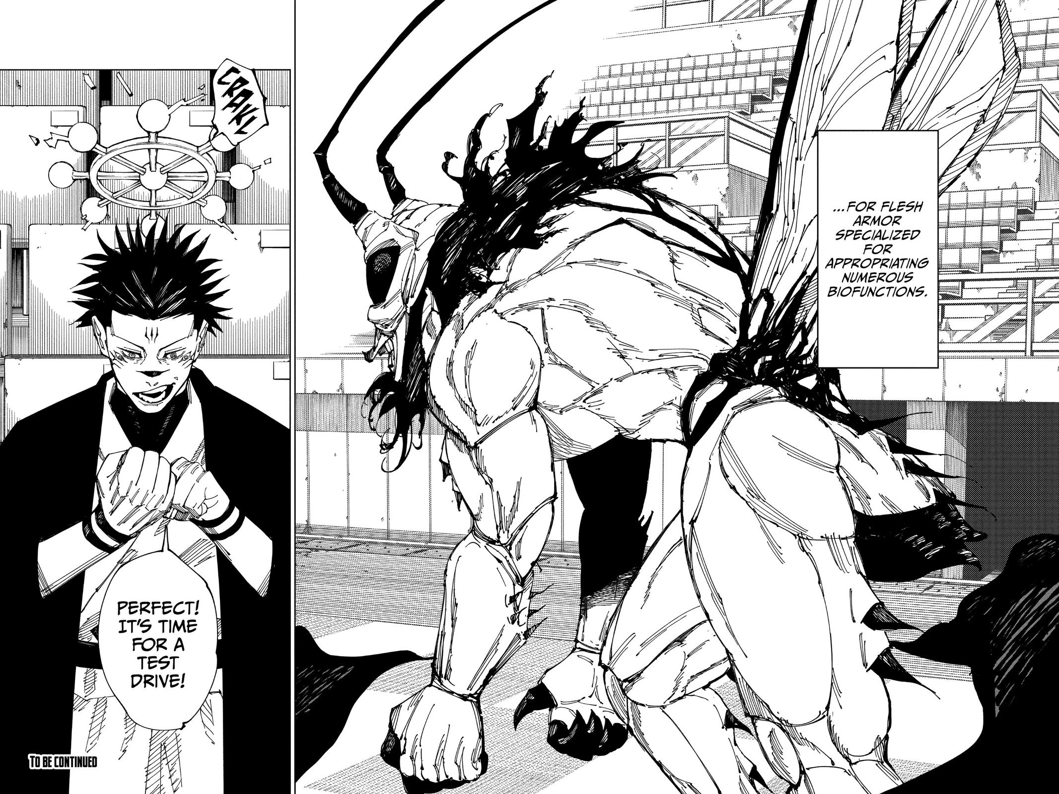 Jujutsu Kaisen Chapter 217 - Page 17