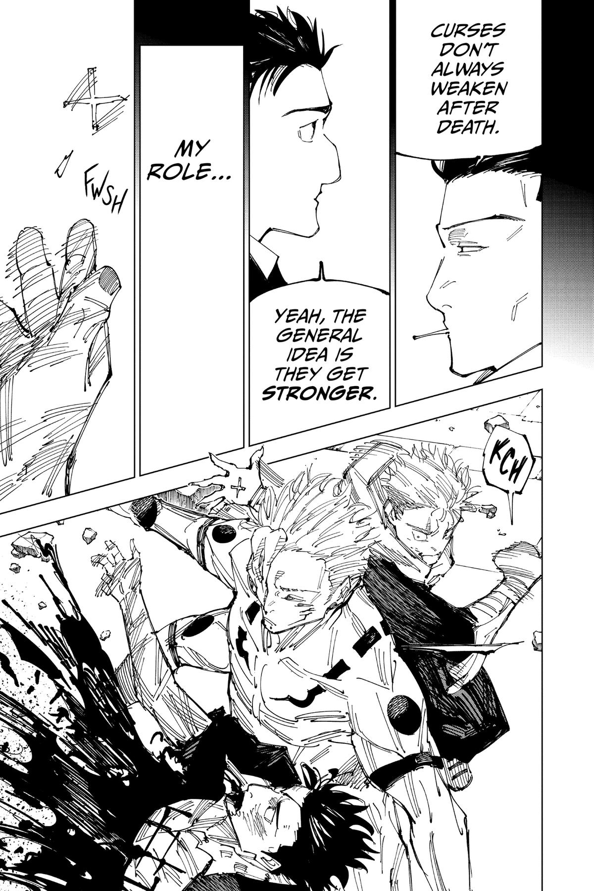 Jujutsu Kaisen Chapter 247 - Page 17
