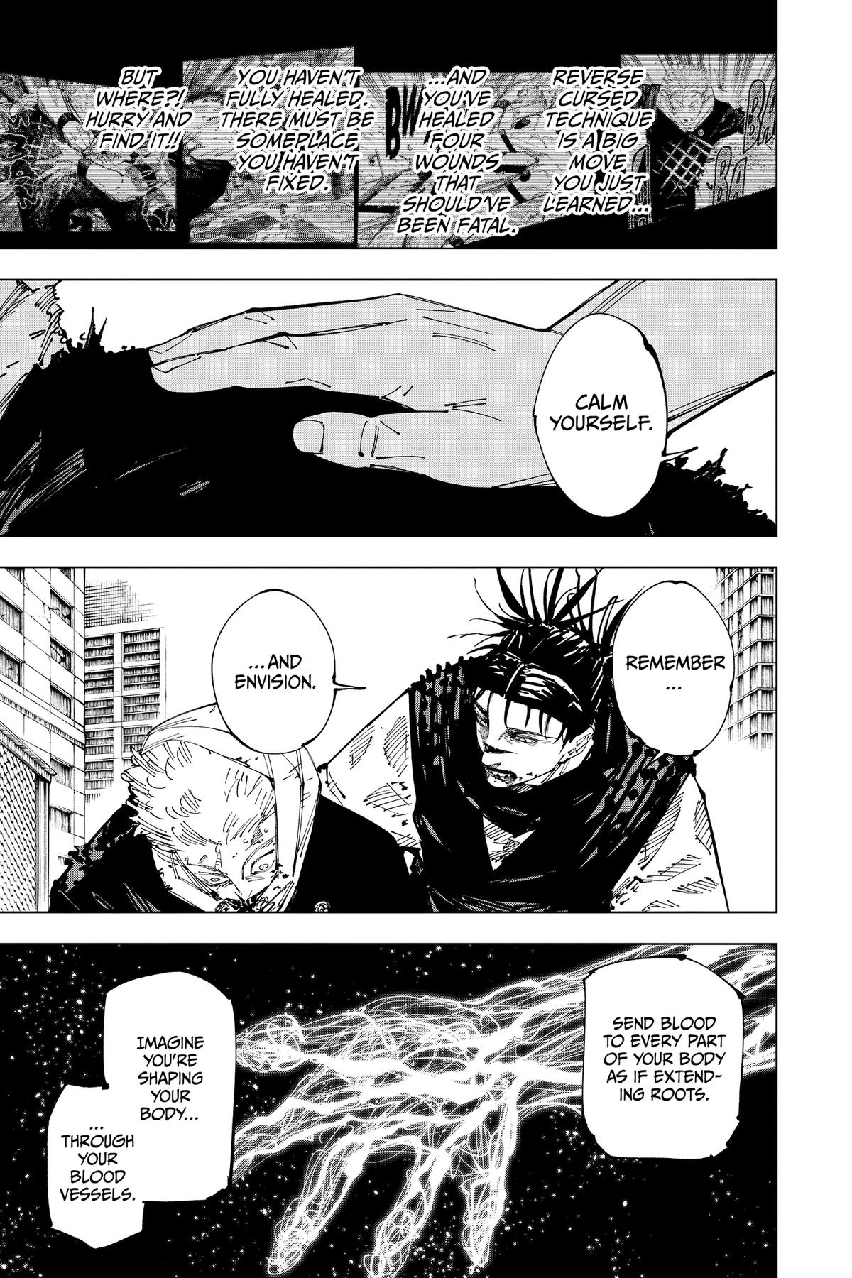 Jujutsu Kaisen Chapter 252 - Page 10