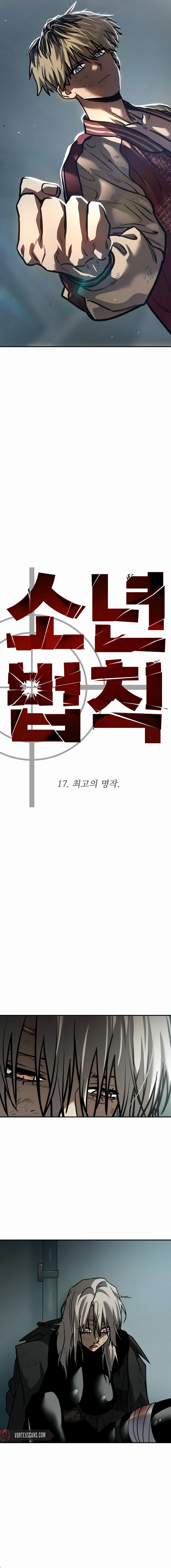 Juvenile Law Chapter 17 - Page 13