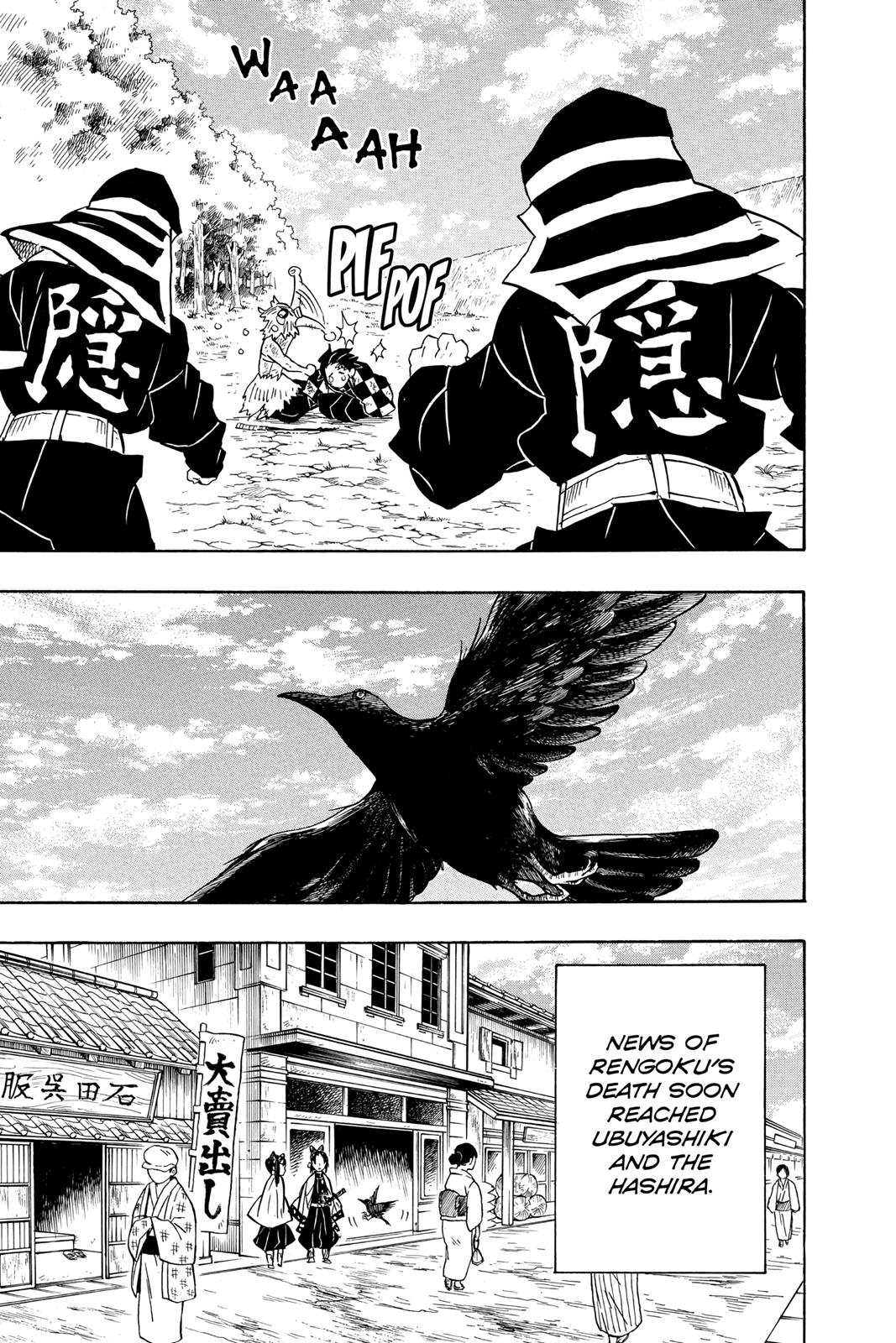 Demon Slayer: Kimetsu no Yaiba Chapter 66 - Page 17