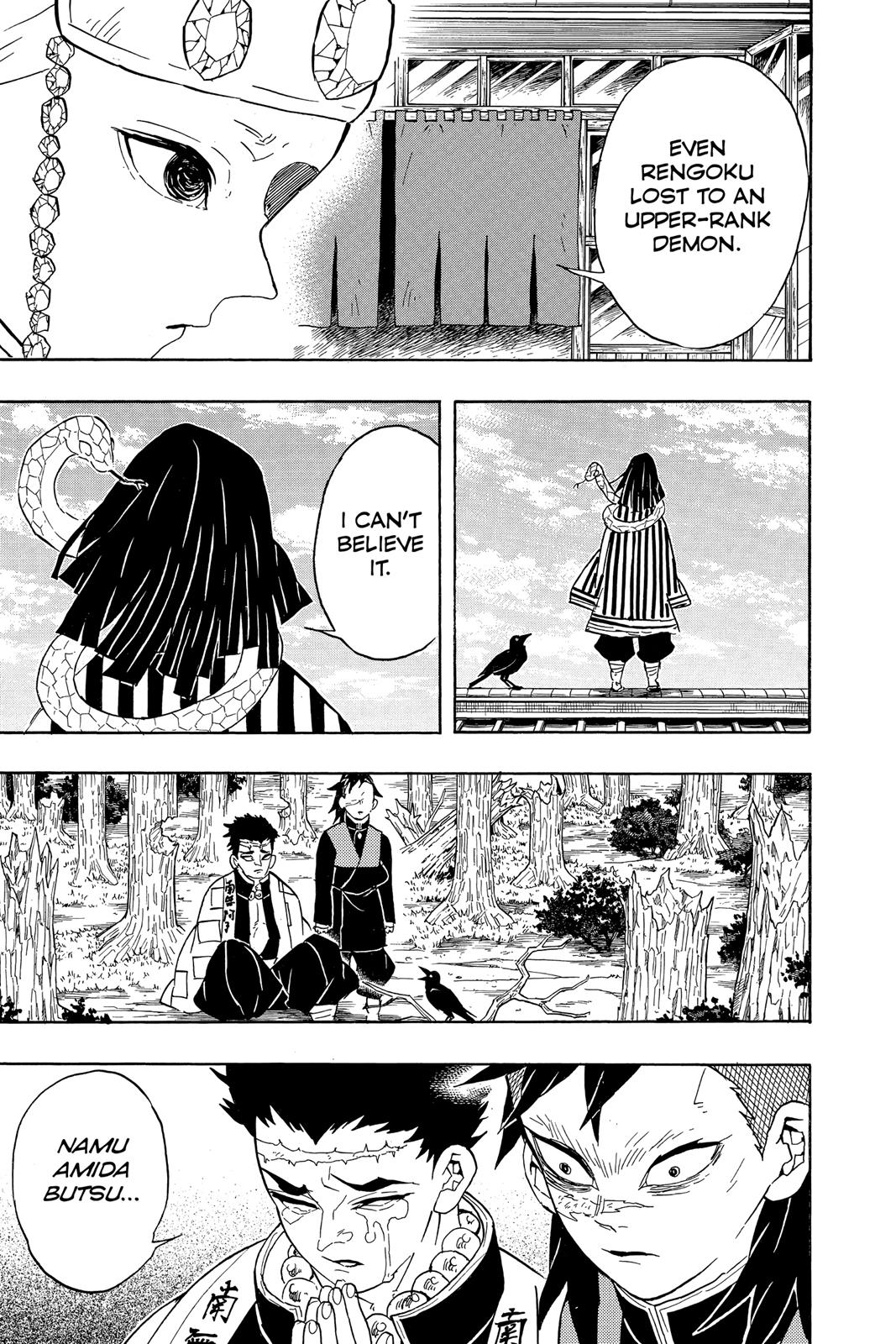 Demon Slayer: Kimetsu no Yaiba Chapter 66 - Page 19