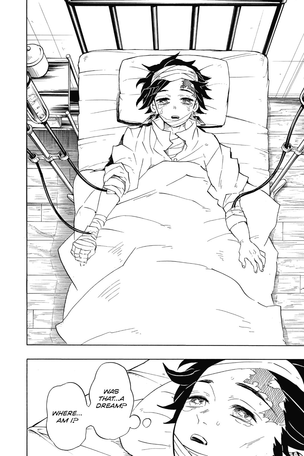 Demon Slayer: Kimetsu no Yaiba Chapter 99 - Page 18