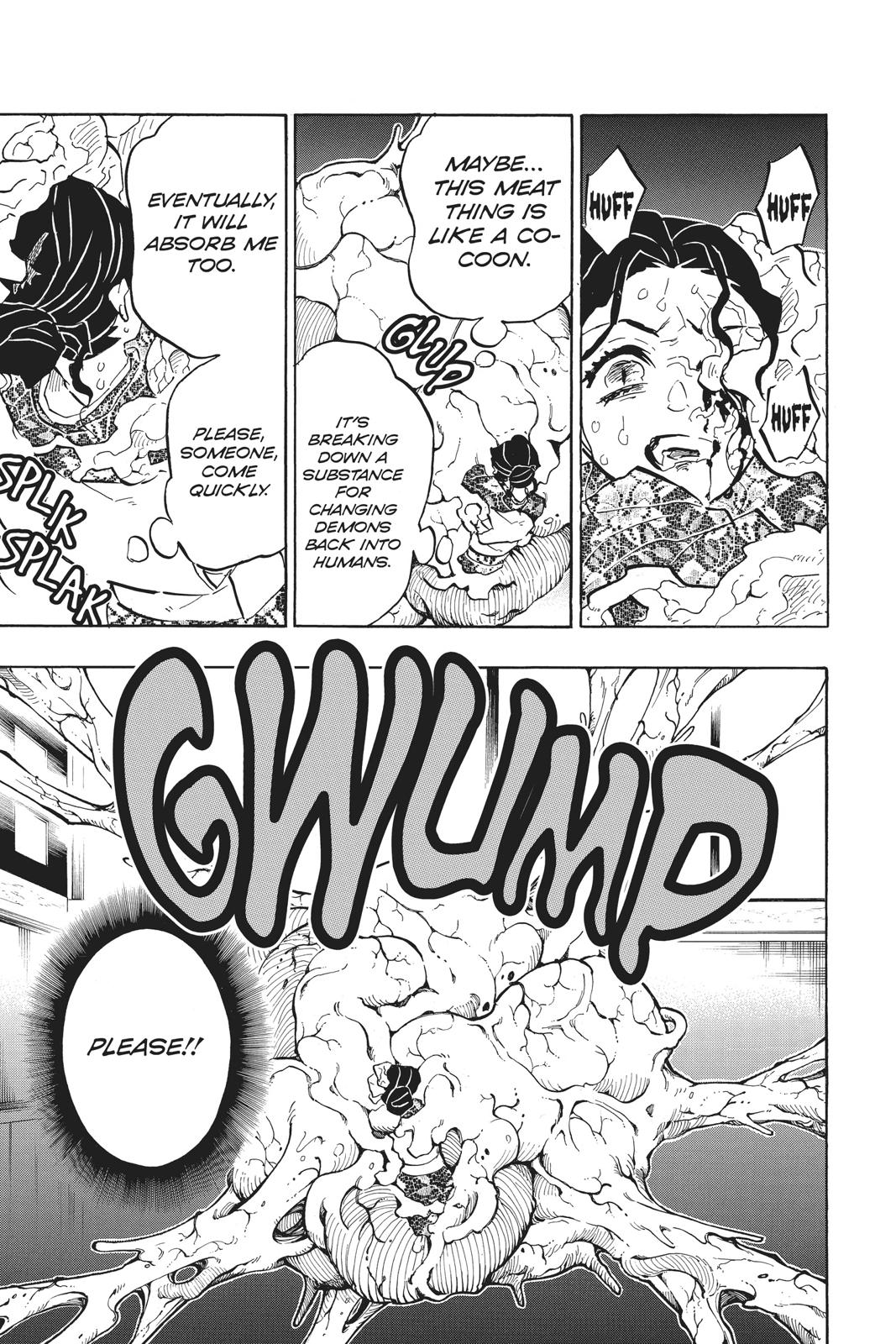 Demon Slayer: Kimetsu no Yaiba Chapter 146 - Page 19