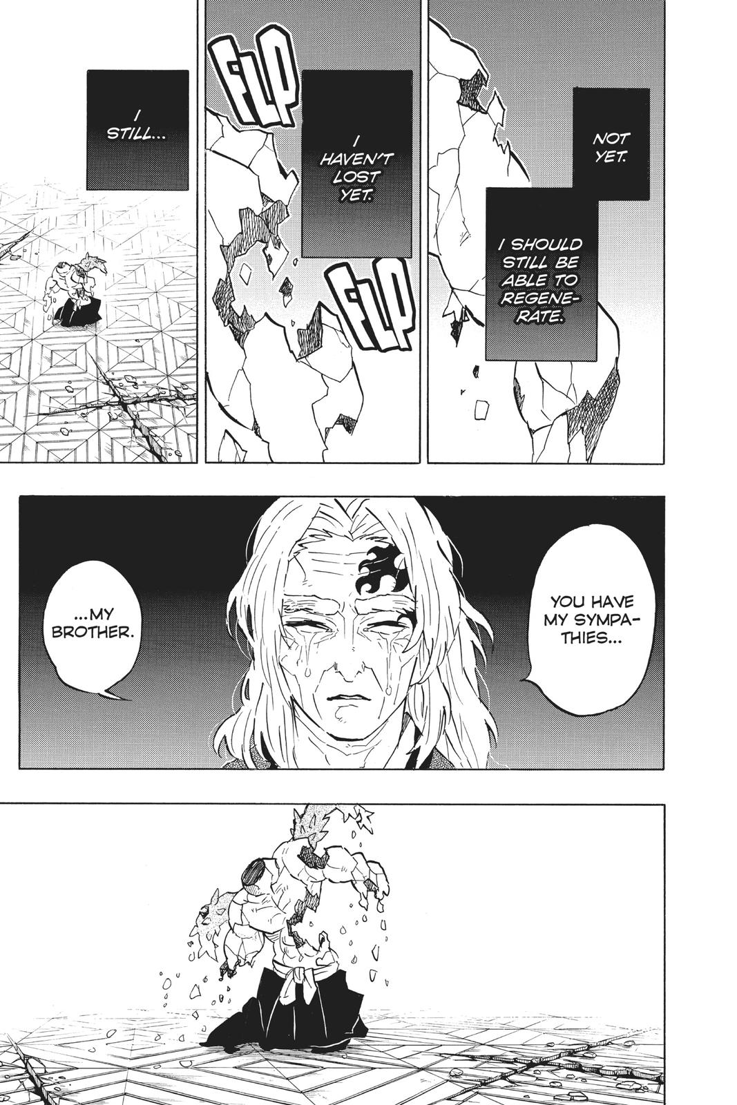 Demon Slayer: Kimetsu no Yaiba Chapter 176 - Page 17