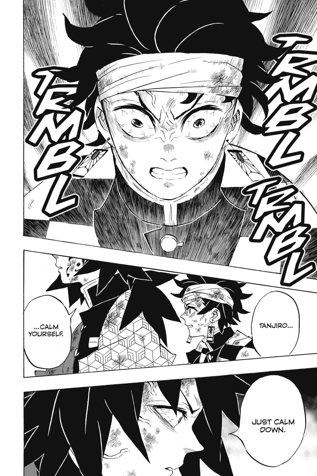 Demon Slayer: Kimetsu no Yaiba Chapter 181 - Page 13