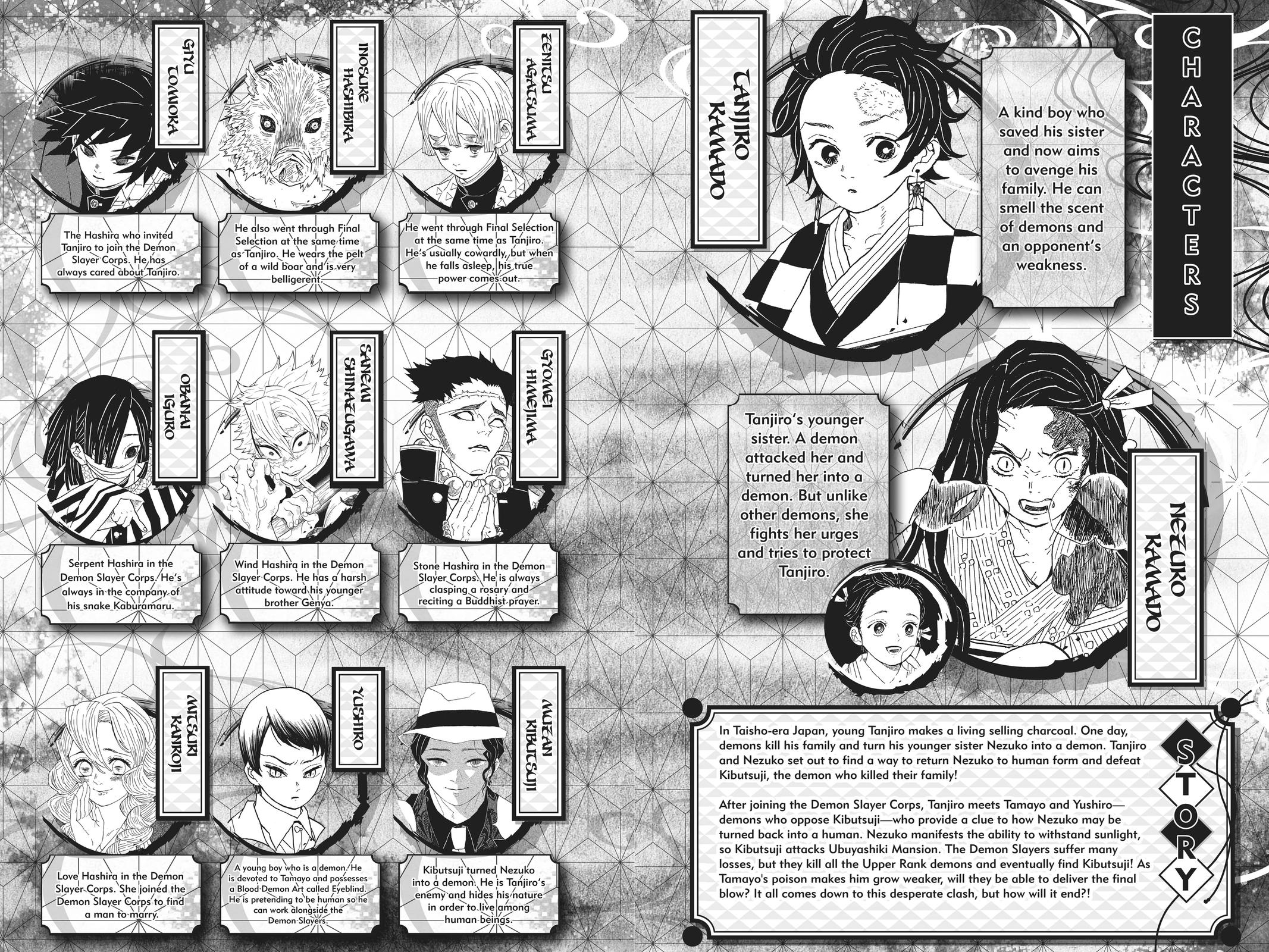 Demon Slayer: Kimetsu no Yaiba Chapter 197 - Page 5