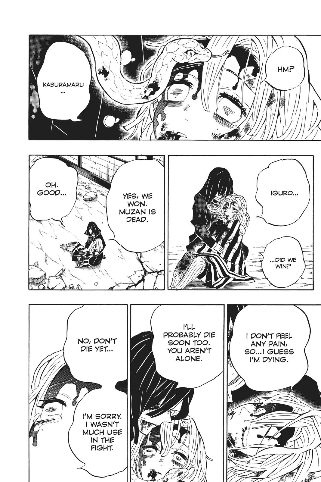 Demon Slayer: Kimetsu no Yaiba Chapter 200 - Page 11