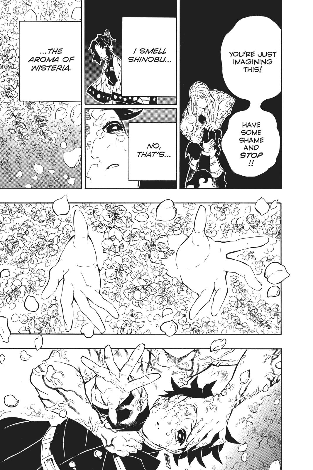 Demon Slayer: Kimetsu no Yaiba Chapter 203 - Page 9
