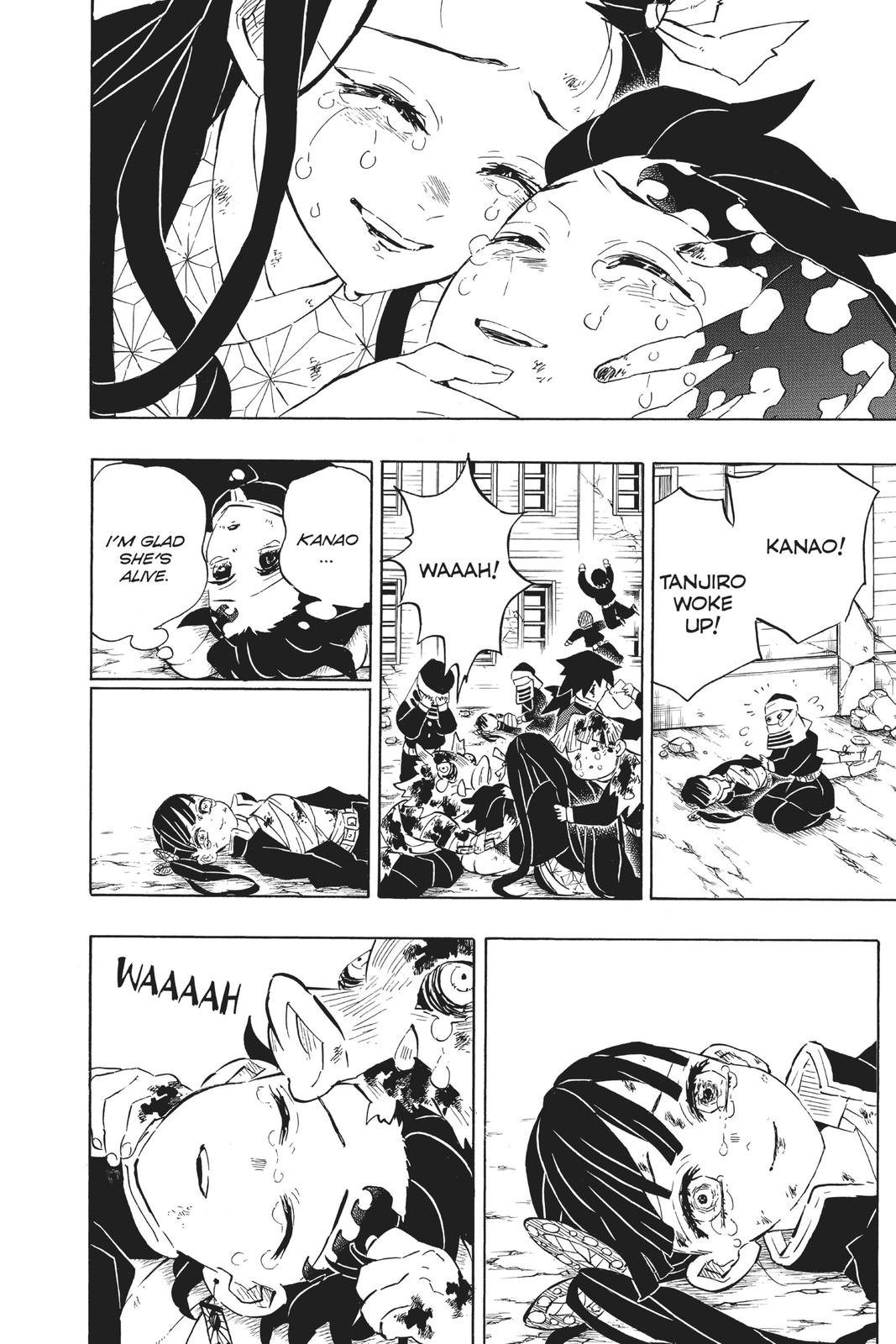 Demon Slayer: Kimetsu no Yaiba Chapter 203 - Page 18
