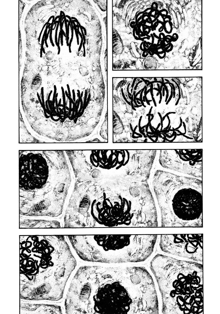 The Climber Chapter 161 - Page 6