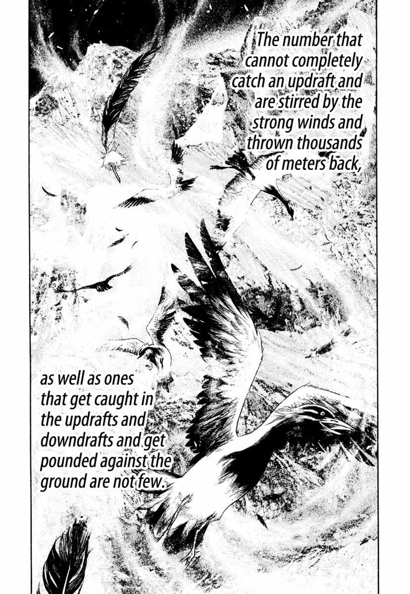 The Climber Chapter 168 - Page 13