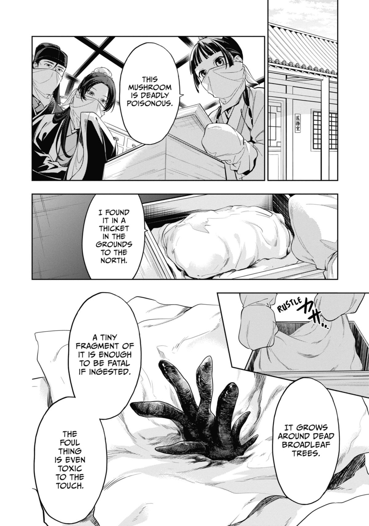 The Apothecary Diaries Chapter 45 - Page 3