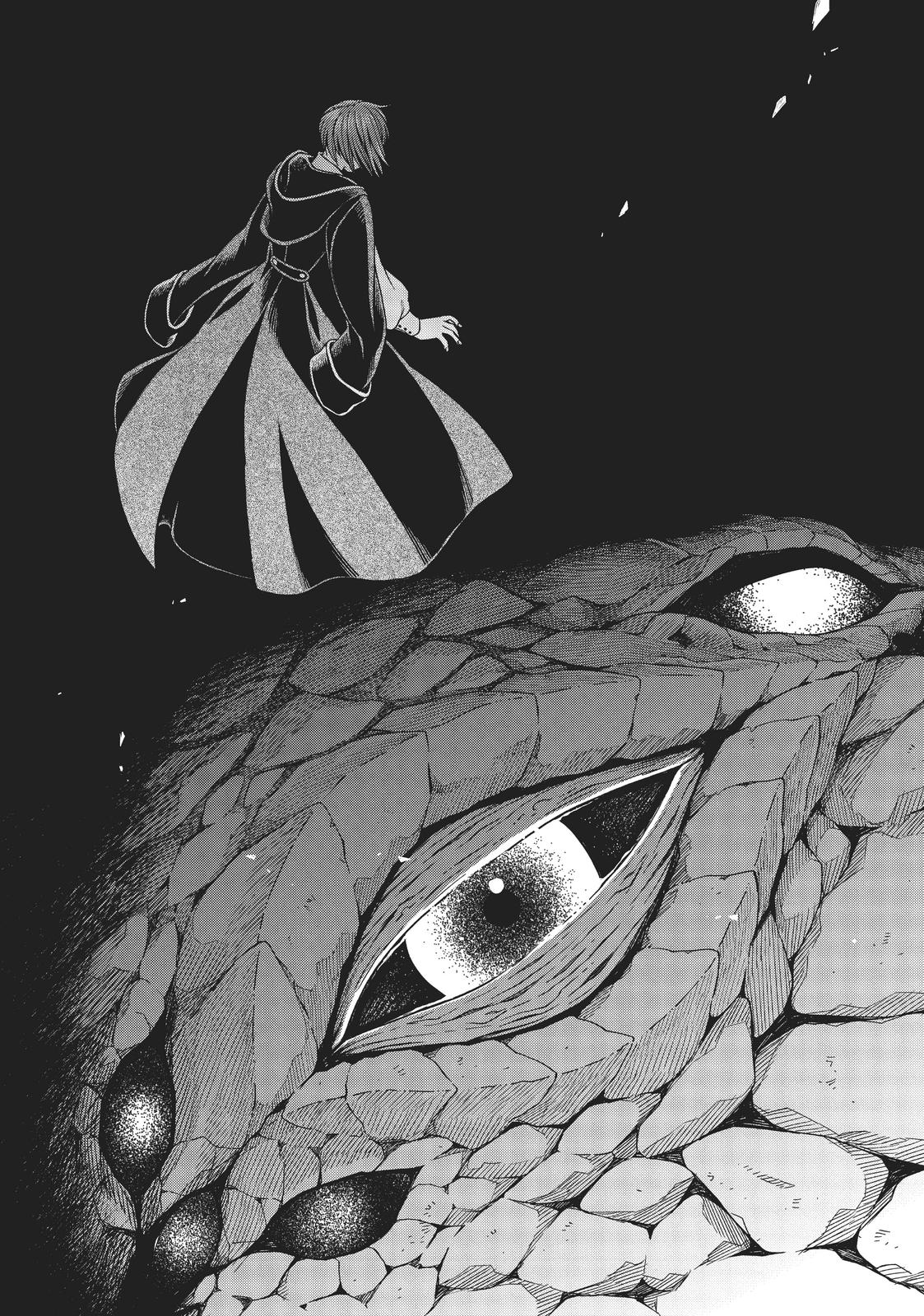 The Ancient Magus' Bride Chapter 81 - Page 41