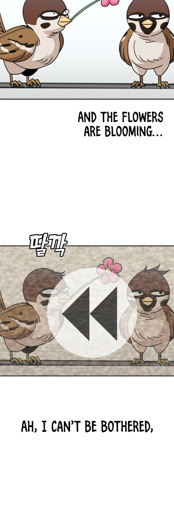 Maybe Meant to Be Chapter 29 - Page 19