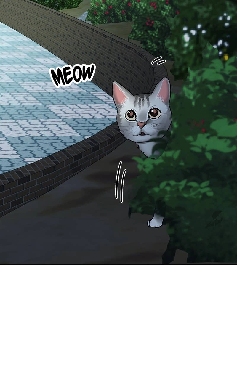 My Comeback as the Youngest Member Chapter 24 - Page 5