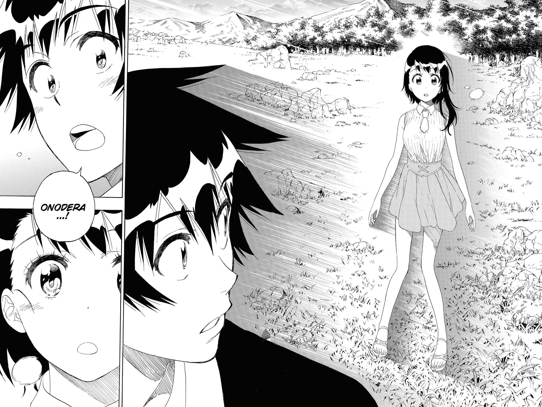 Nisekoi: False Love Chapter 224 - Page 18