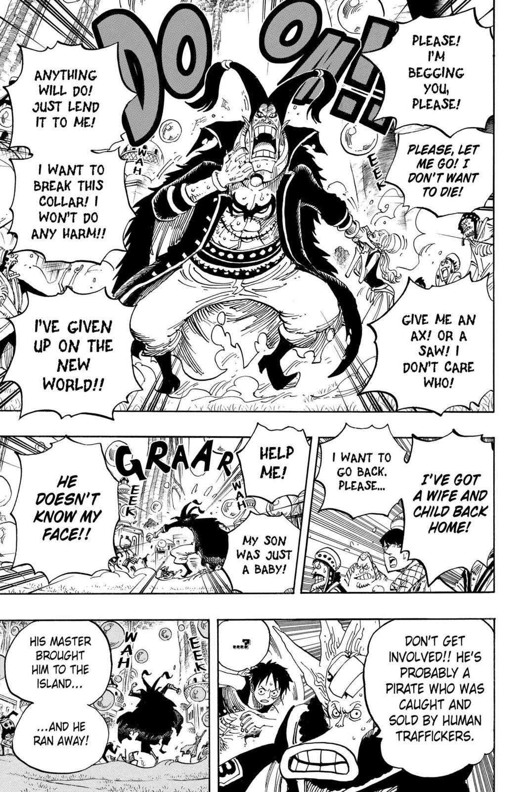 One Piece Chapter 497 - Page 13