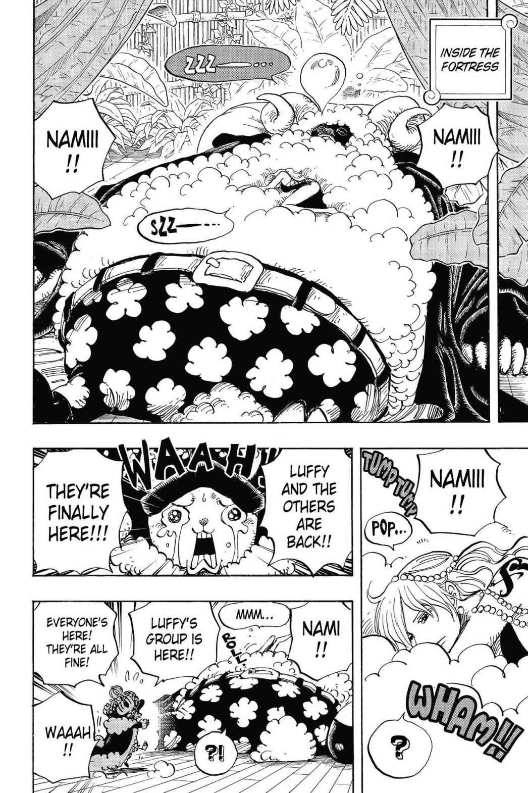 One Piece Chapter 806 - Page 12