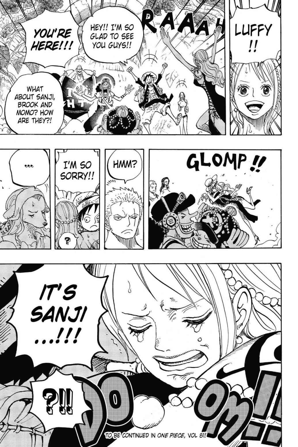 One Piece Chapter 806 - Page 16