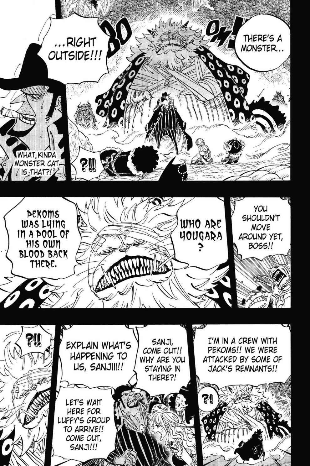 One Piece Chapter 813 - Page 15
