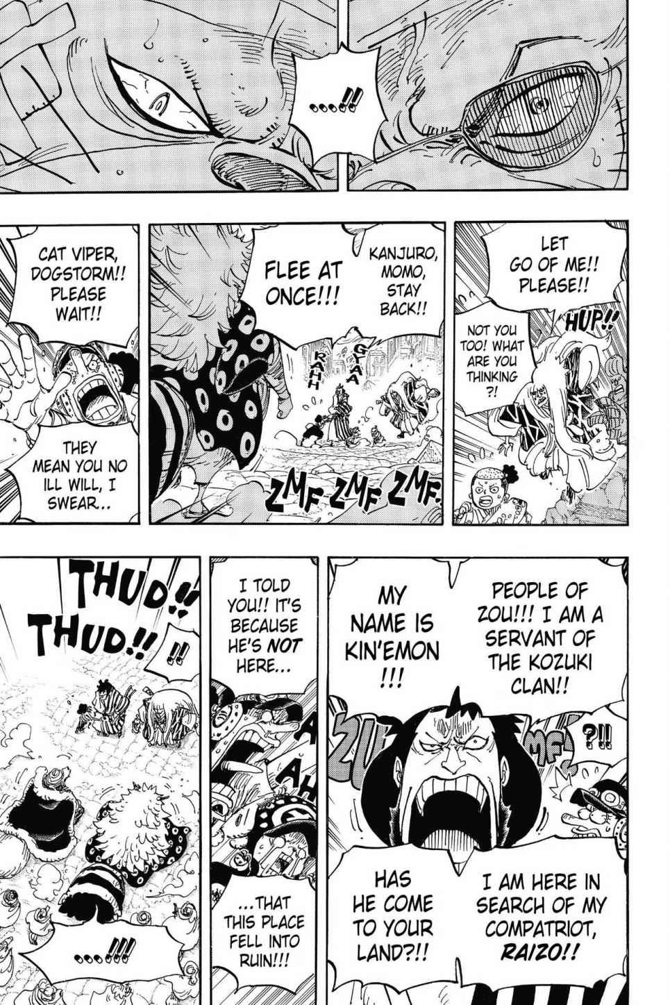 One Piece Chapter 816 - Page 13