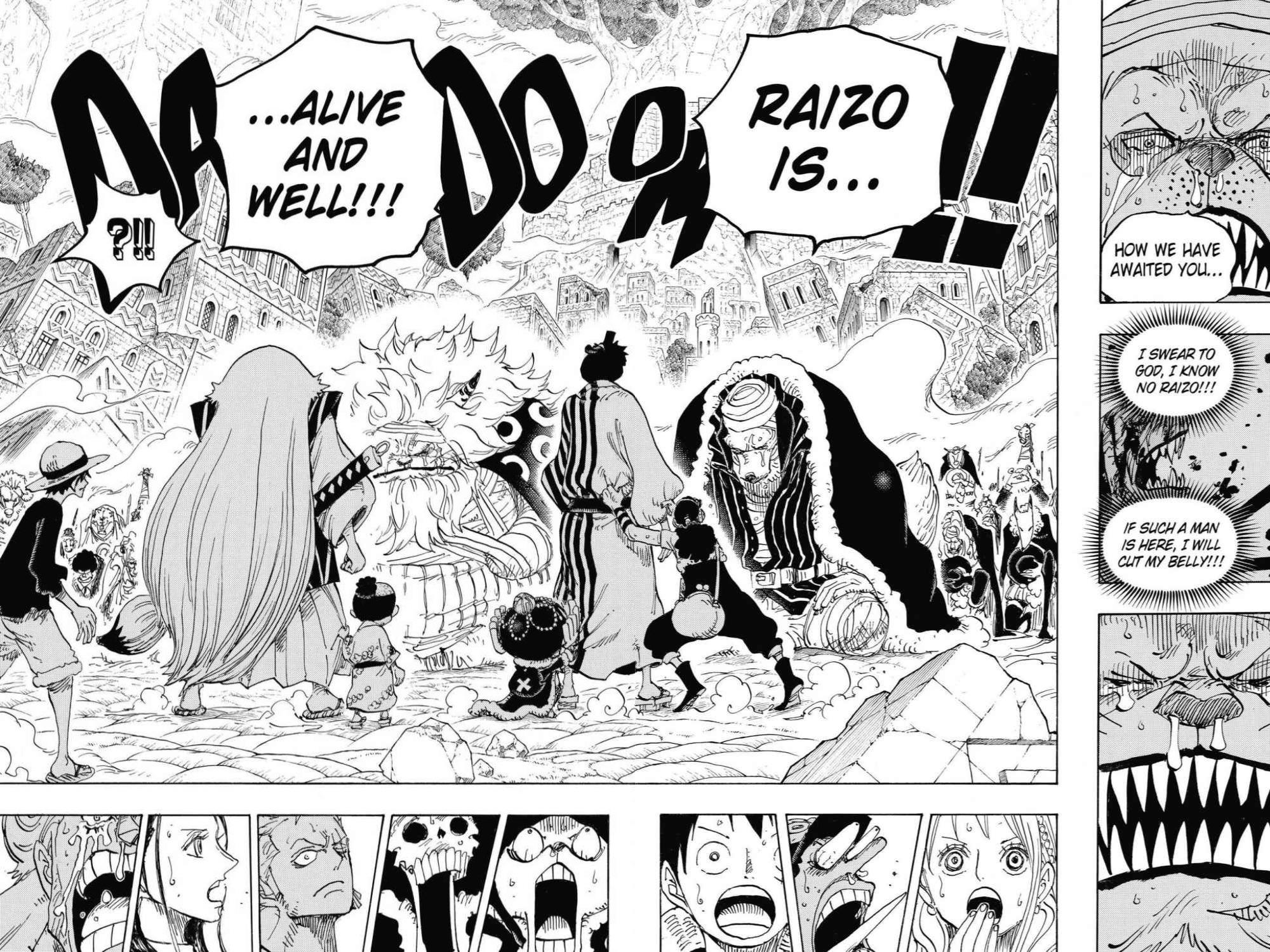 One Piece Chapter 816 - Page 14