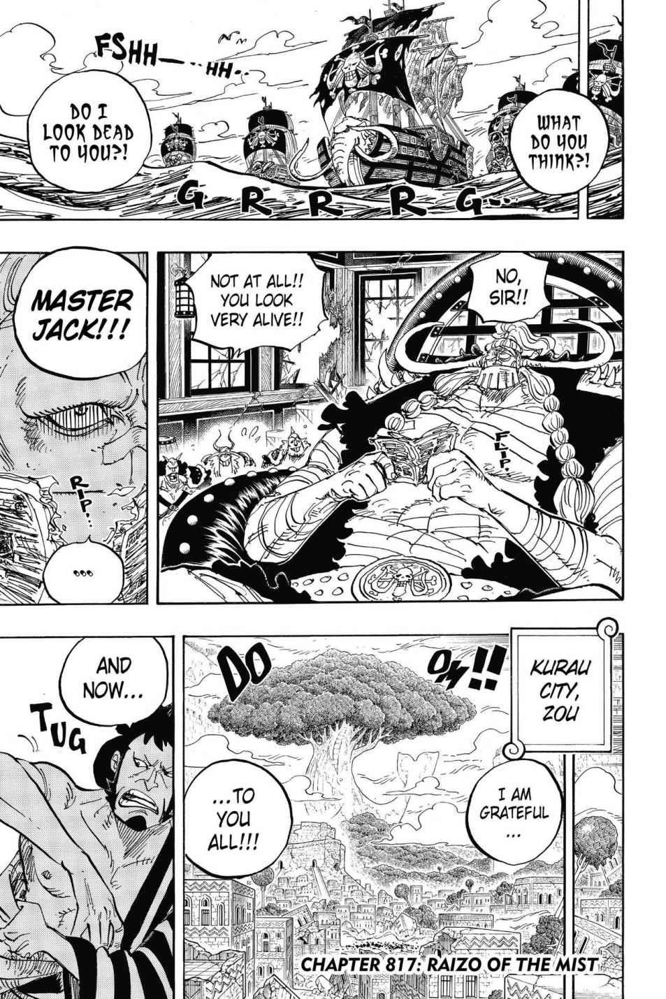 One Piece Chapter 817 - Page 10