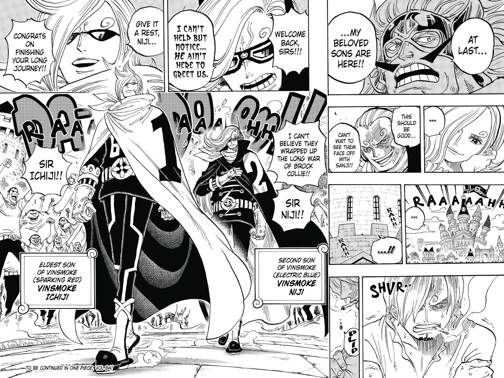 One Piece Chapter 838 - Page 14
