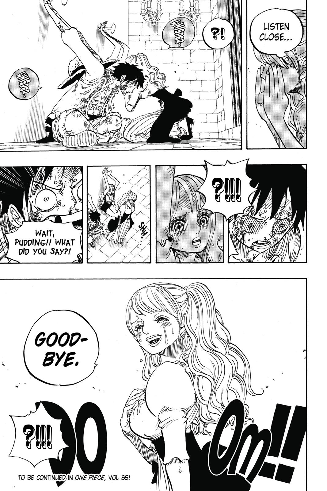 One Piece Chapter 848 - Page 18