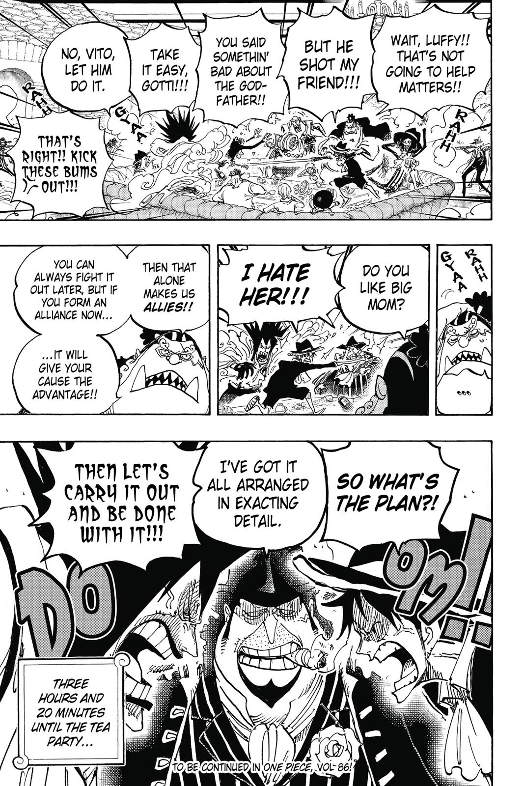 One Piece Chapter 858 - Page 17