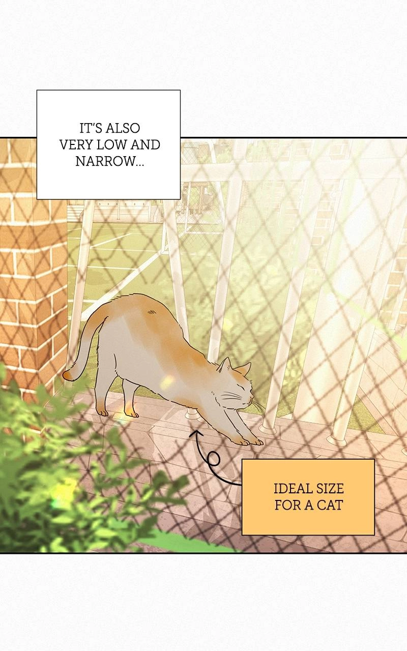 Operation True Love Chapter 44 - Page 67
