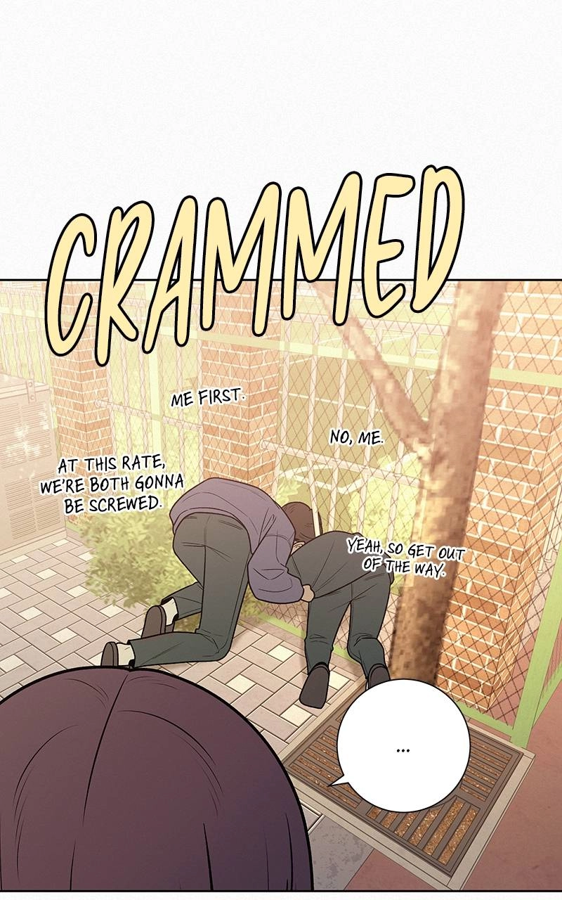 Operation True Love Chapter 44 - Page 95