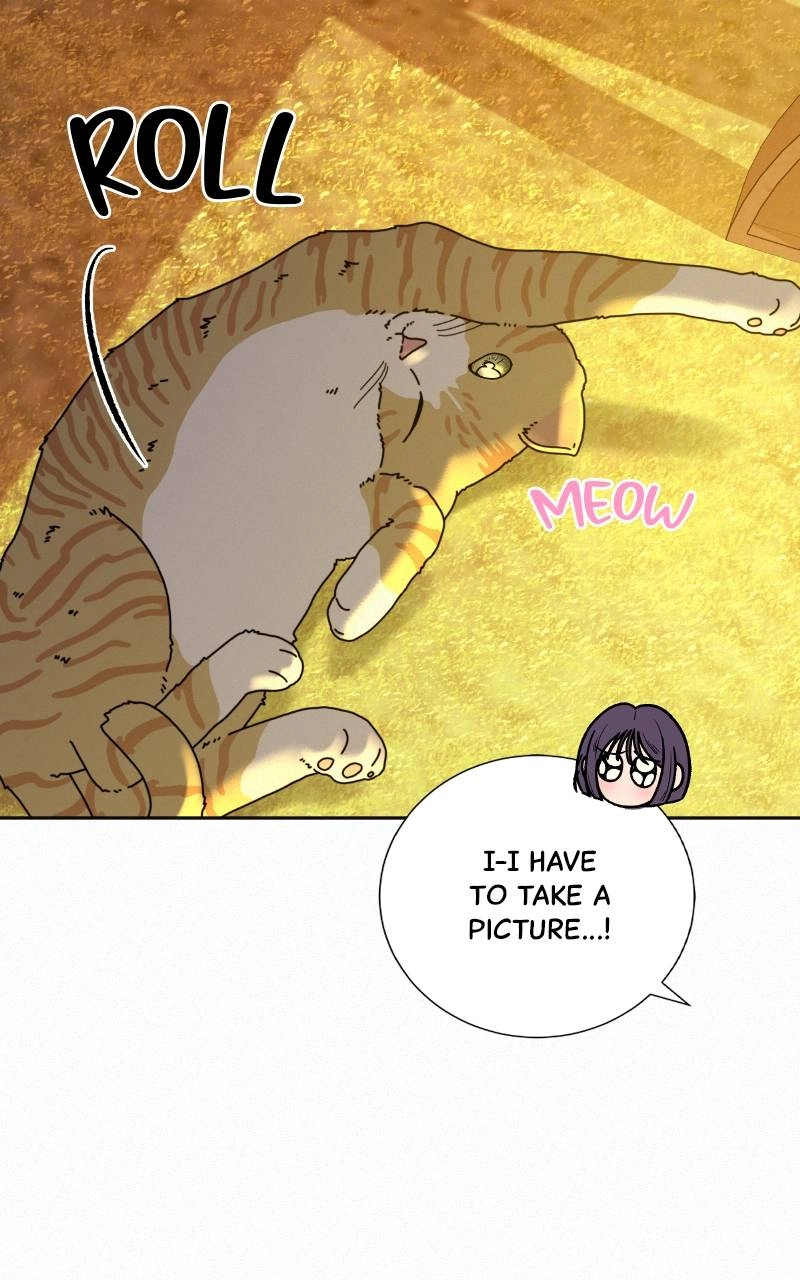 Operation True Love Chapter 99 - Page 43