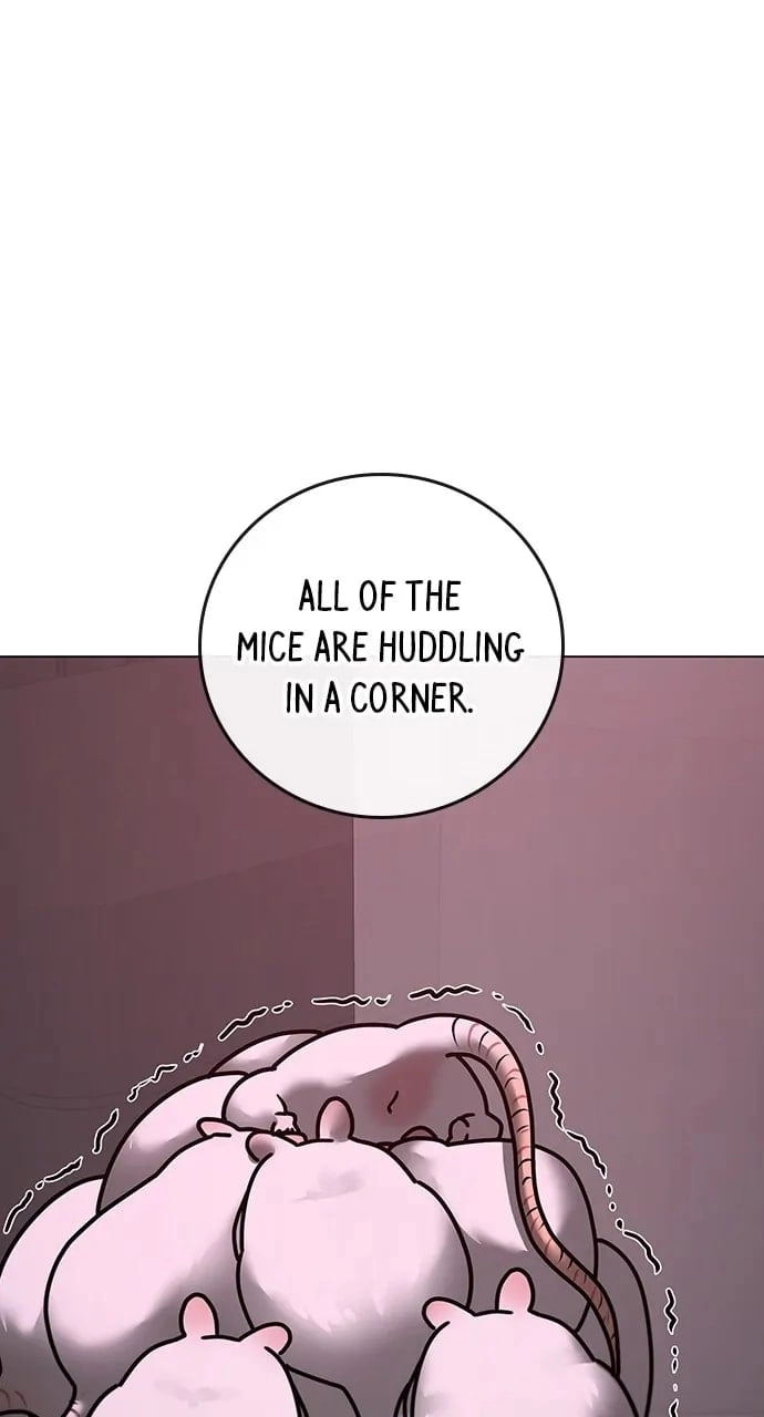 Reality Quest 2 Chapter 113 - Page 69